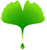 Ribeiro Logo